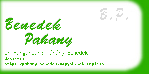 benedek pahany business card